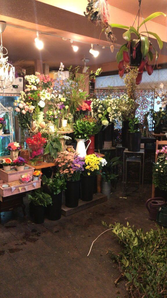 高円寺のお花屋さん お祝い事に 普段使いに 女性の賃貸お部屋探しは女性のためのあつまる不動産へ 高円寺のお花屋さん お祝い事に 普段使いに 女性の賃貸お部屋探しは女性のためのあつまる不動産へ