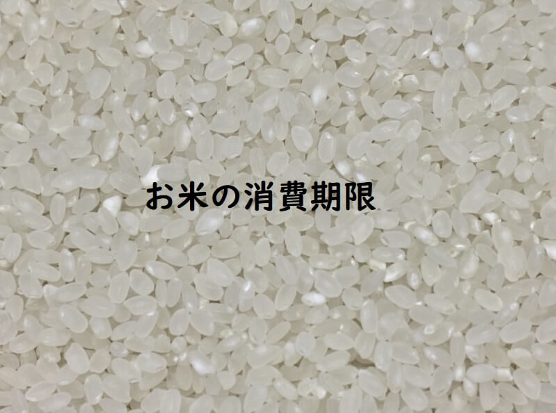 高円寺女性専門不動産スタッフが考えるお米の消費期限