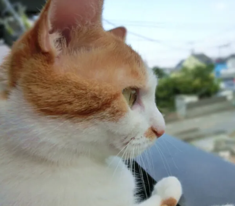 女性の一人暮らし 防犯 気を付ける事