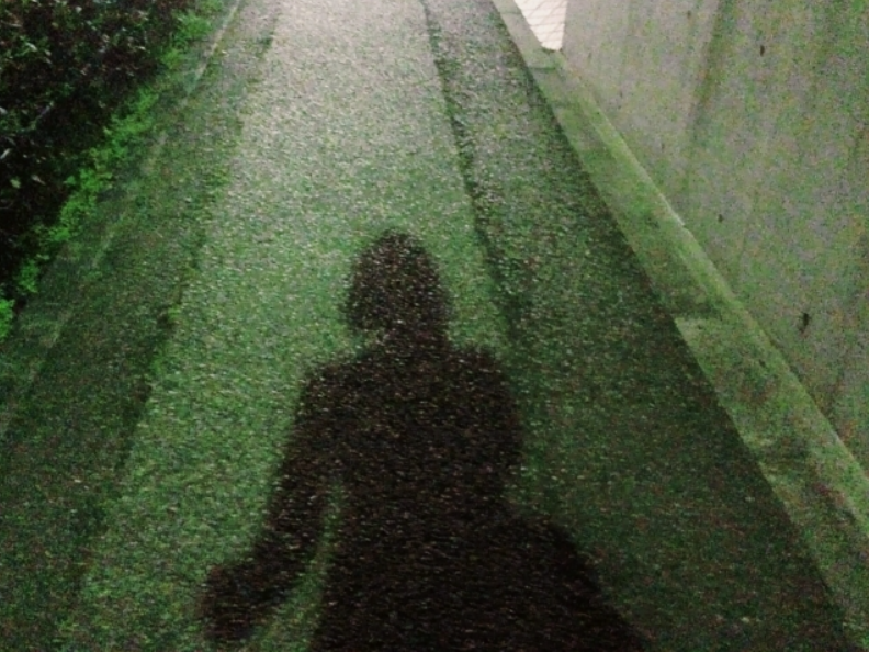 夜道に映る女性の影