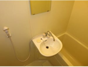 サウスシティ阿佐ヶ谷304号室 杉並区阿佐谷南1丁目 お風呂