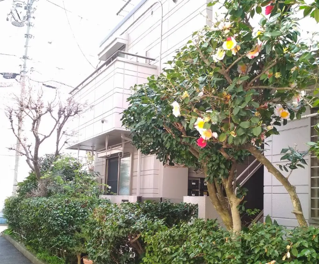 1階の玄関　部屋　玄関　賃貸　1階