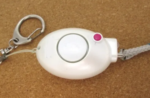 防犯グッズ　女性の一人暮らし　安心　生活　対策